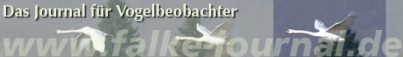 Die deutsche Zeitschrift f&uuml;r Vogelbeobachter