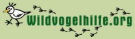 Vogelarten, F&uuml;tterung, Aufzucht, Gesundheit etc.