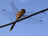 2 Jahre sp&auml;ter ...