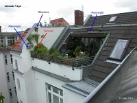 Dachterrasse-18-05-10
